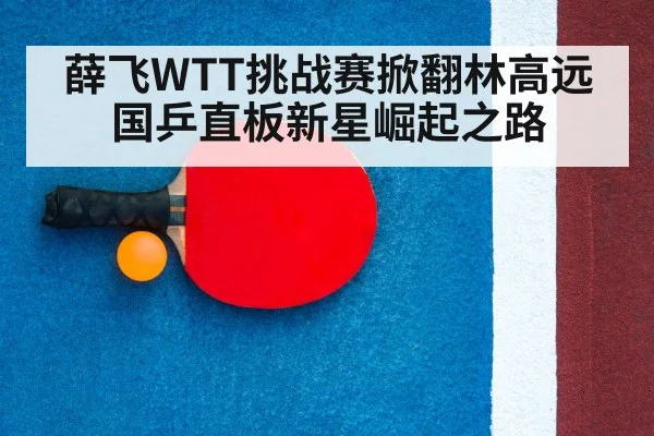 table tennis racket