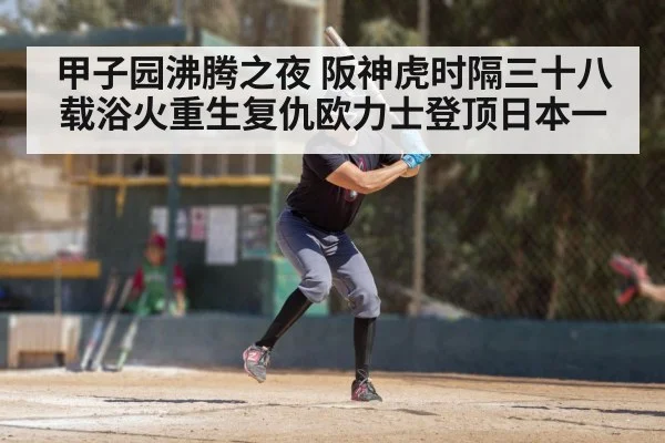 甲子园沸腾之夜 阪神虎时隔三十八载浴火重生复仇欧力士登顶日本一